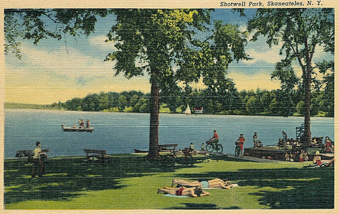 Shotwell Park Tinted